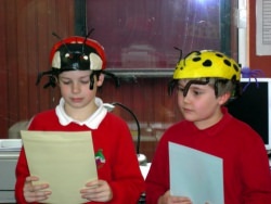 Minsterley Primary school ladybirds