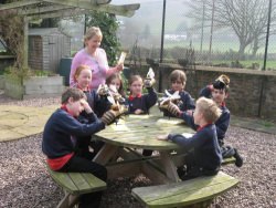 Stiperstones Primary school with bees