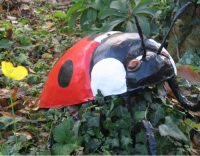 Large ladybird image