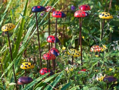 ladybirds in the grass