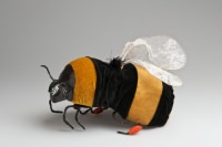 Buff tailed Bumblebee 