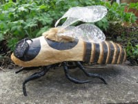 Queen honeybee
