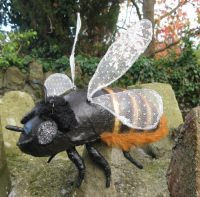 Red Mason Bee