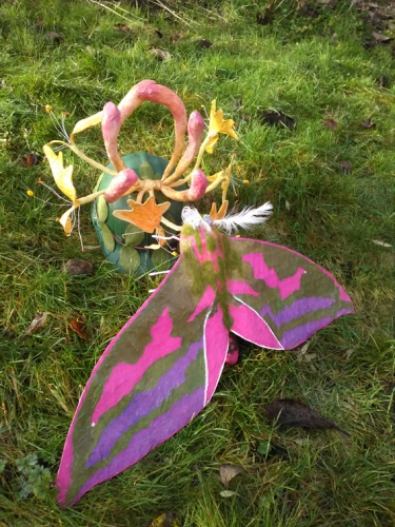 Elephant hawkmoth pollinating honeysuckle